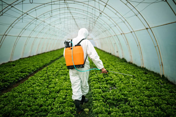 Reliable Jonesboro, AR Pest Control Solutions