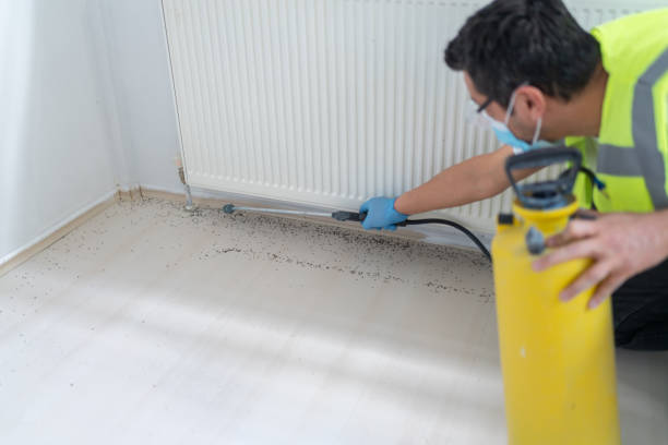 Best Emergency Pest Control  in Jonesboro, AR