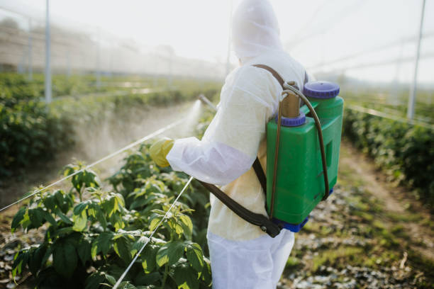 Best Mosquito Control Services  in Jonesboro, AR